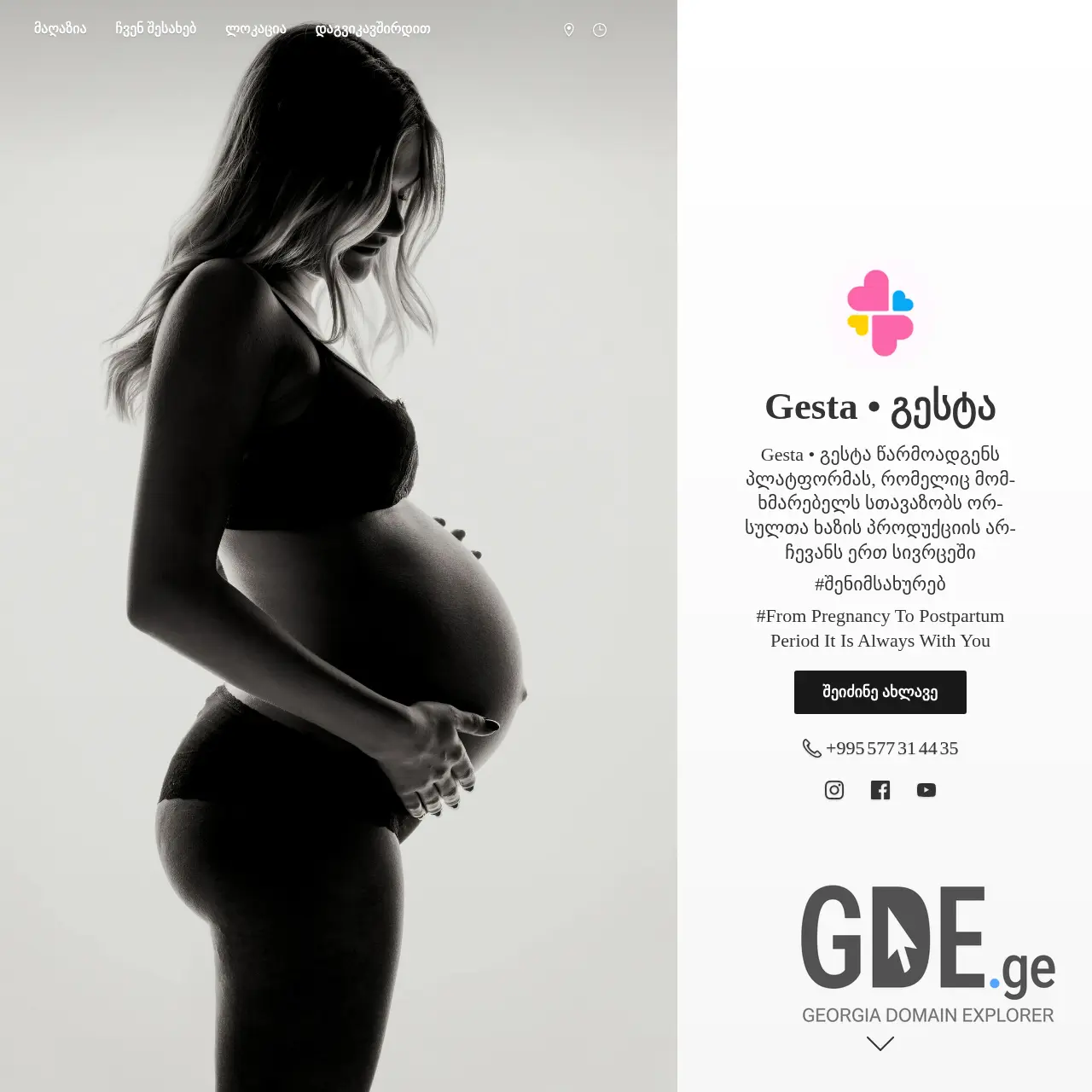 Screenshot of the site gesta.ge at 2025-12-15