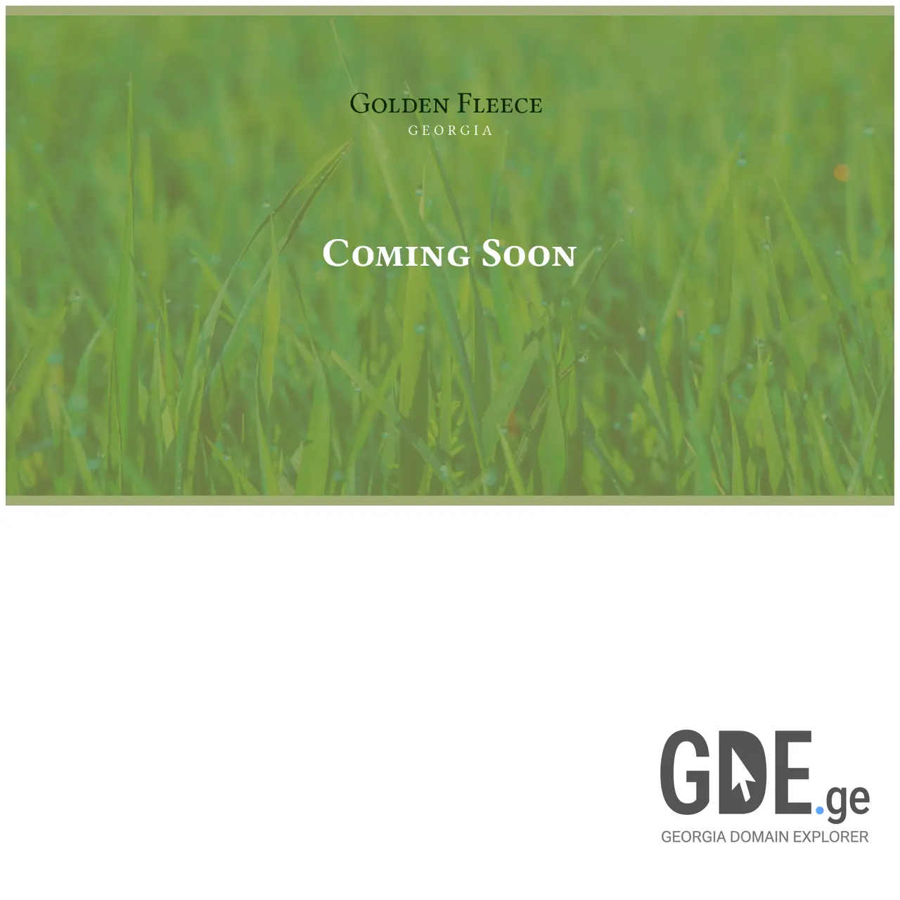 Screenshot of the site gfgeorgia.ge at 2025-12-09