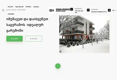 Screenshot of ghsaguramo.ge