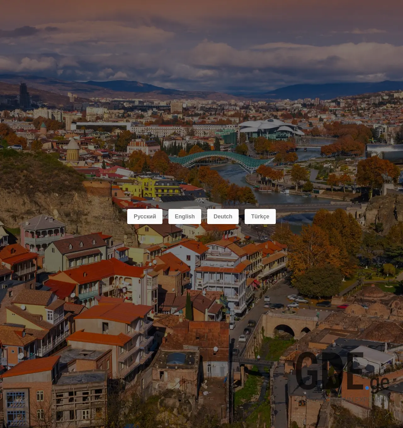 Screenshot of the site gidgruzia.ge at 2025-11-30