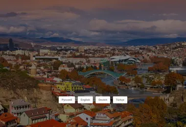 gidgruzia.ge-ის ეკრანის სურათი