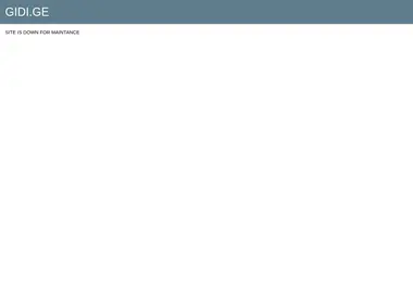 Скриншот gidi.ge