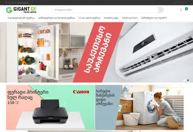 Screenshot of gigant.ge