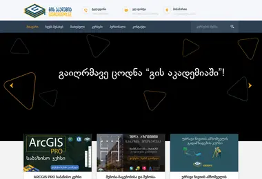 Скриншот gisacademy.ge