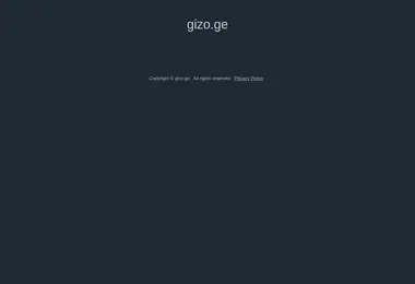 Screenshot of gizo.ge