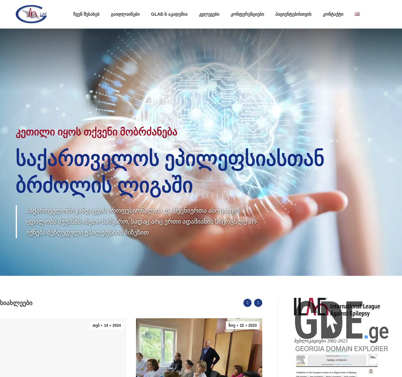 Screenshot of the site glae.org.ge at 2025-11-26