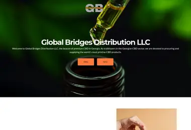 Screenshot of globalbridges.ge
