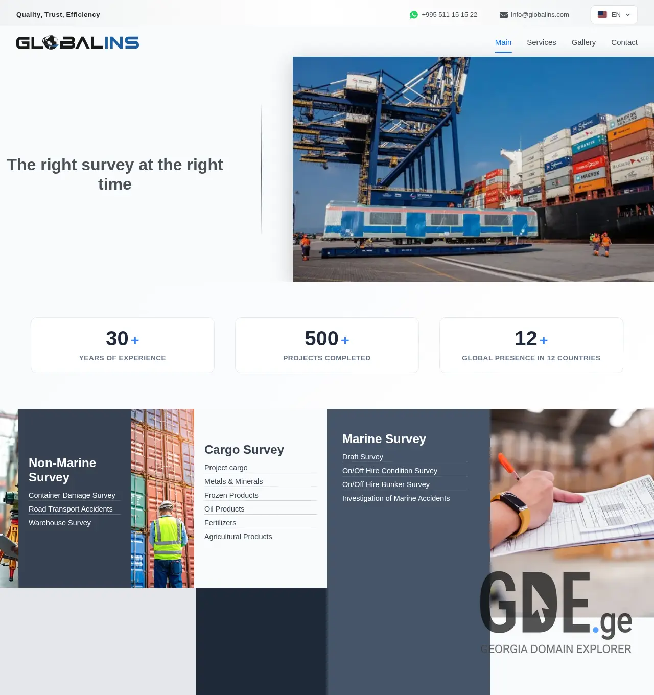 Screenshot of the site globalins.ge at 2025-11-30