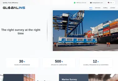 Скриншот globalins.ge