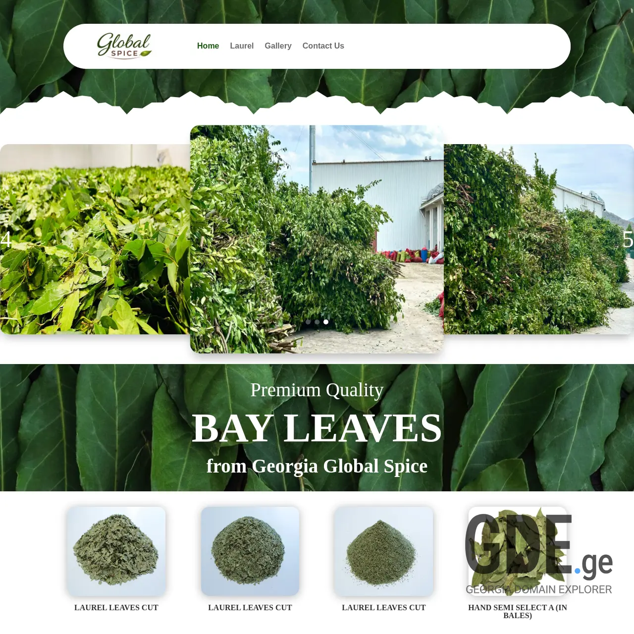 Screenshot of the site globalspice.ge at 2026-02-06