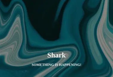 Preview from 06.12.2025