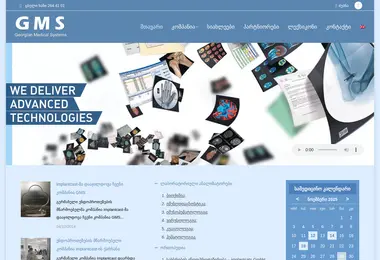 Screenshot of gmsgroup.ge