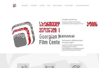 Screenshot of gnfc.ge