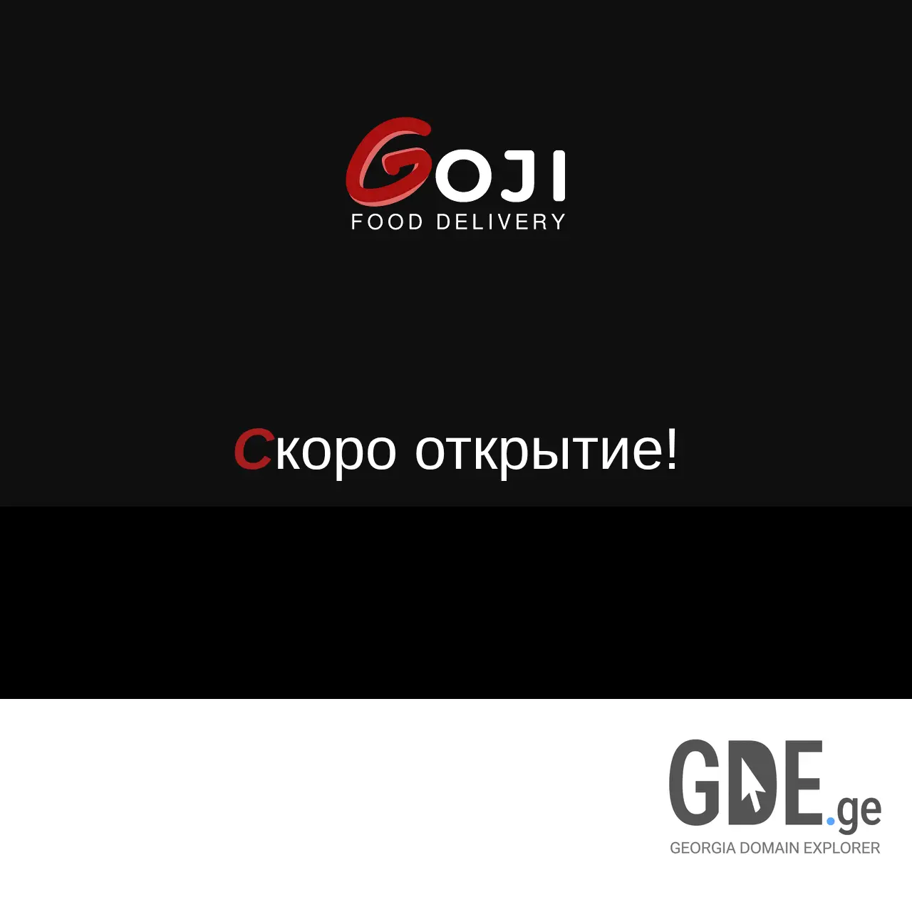 Screenshot of the site goji.ge at 2025-12-10