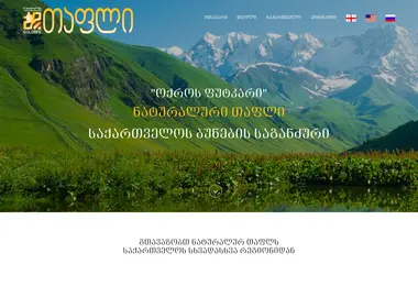 goldenbee.ge-ის ეკრანის სურათი