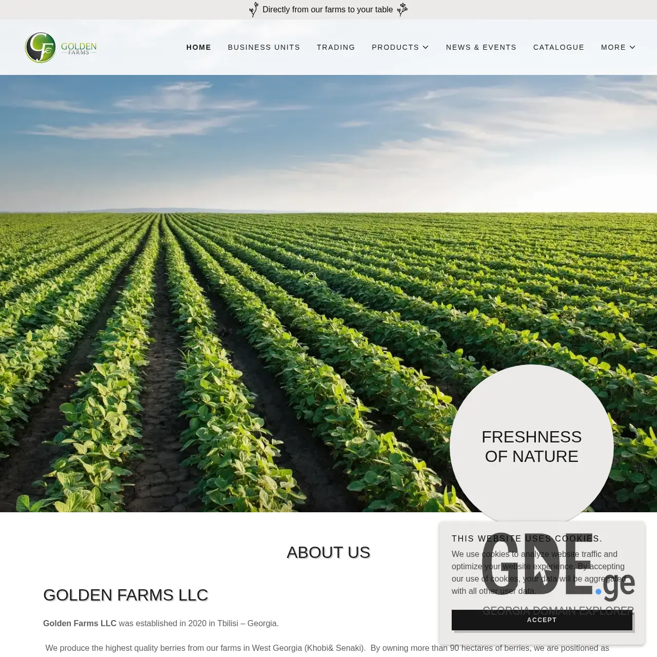 Screenshot of the site goldenfarmsholding.ge at 2025-12-10
