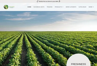 Preview from 10.12.2025