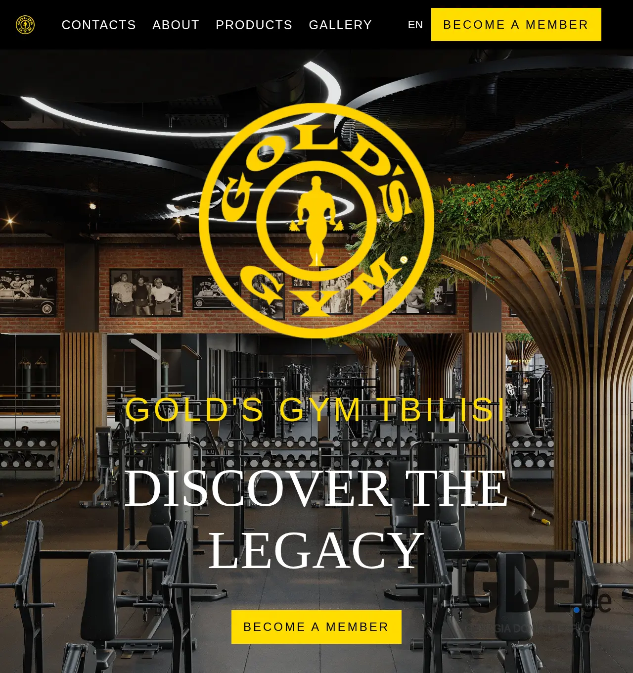 Screenshot of the site goldsgym.ge at 2025-11-30