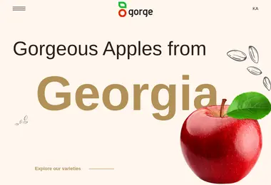 Скриншот gor.ge