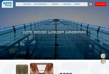 Screenshot of gots.ge