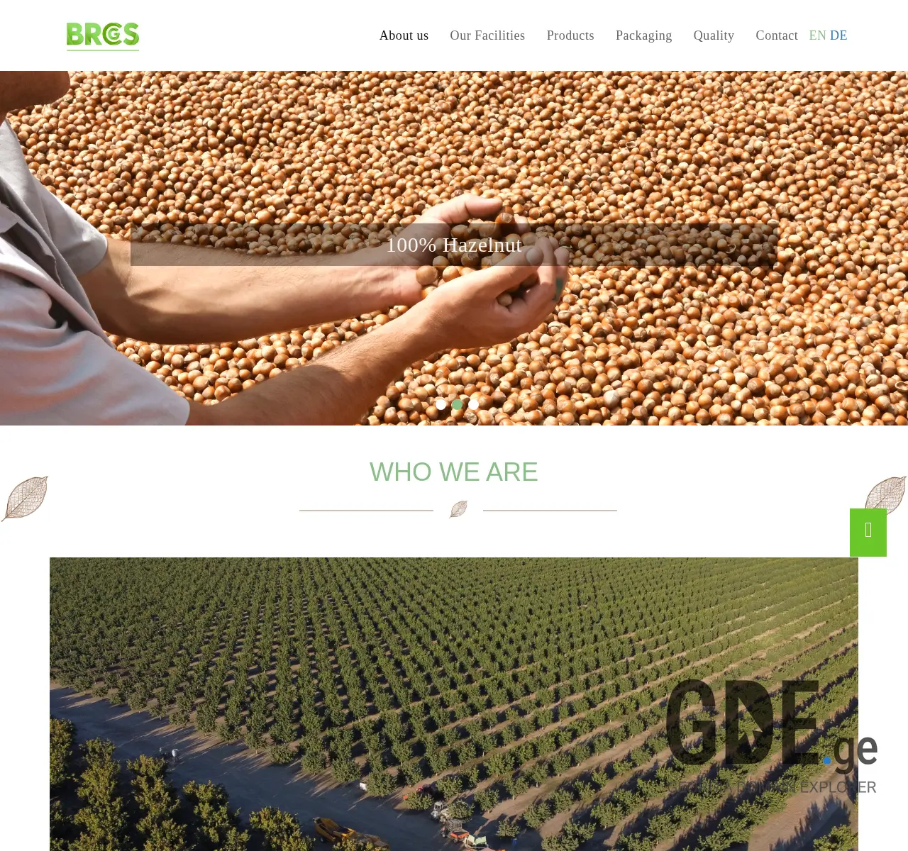 Screenshot of the site gprnuts.ge at 2025-11-26