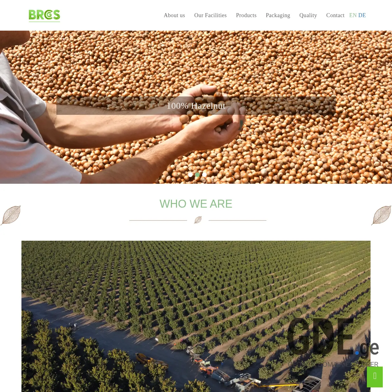 Screenshot of the site gprnuts.ge at 2025-12-18