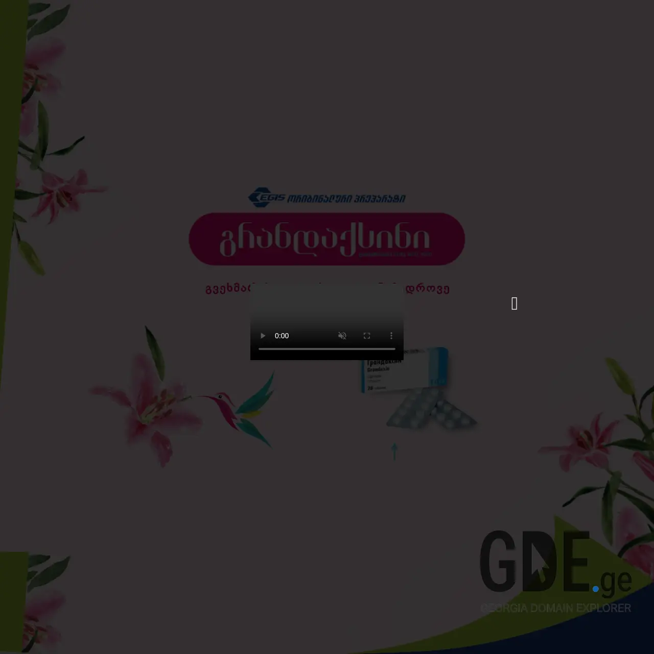 Screenshot of the site grandaxin.ge at 2025-12-10