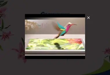 Screenshot of grandaxin.ge