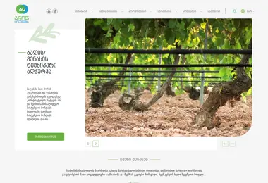 Скриншот green.com.ge