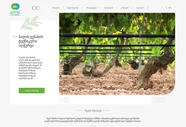 სურათი 02.12.2025-დან