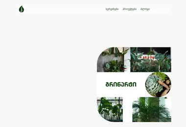Скриншот greenart.ge
