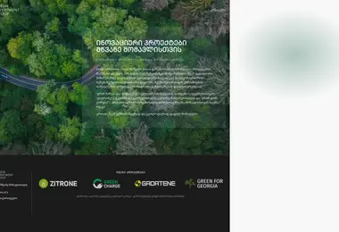 greeninvest.ge-ის ეკრანის სურათი