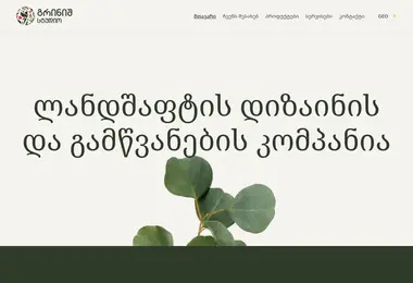 Скриншот greenishstudio.ge
