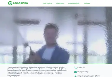 Скриншот greenwash.ge