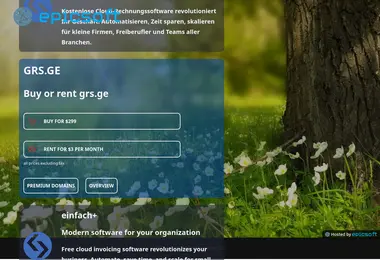 Скриншот grs.ge