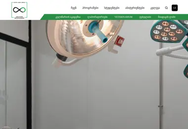 Screenshot of gsau.edu.ge