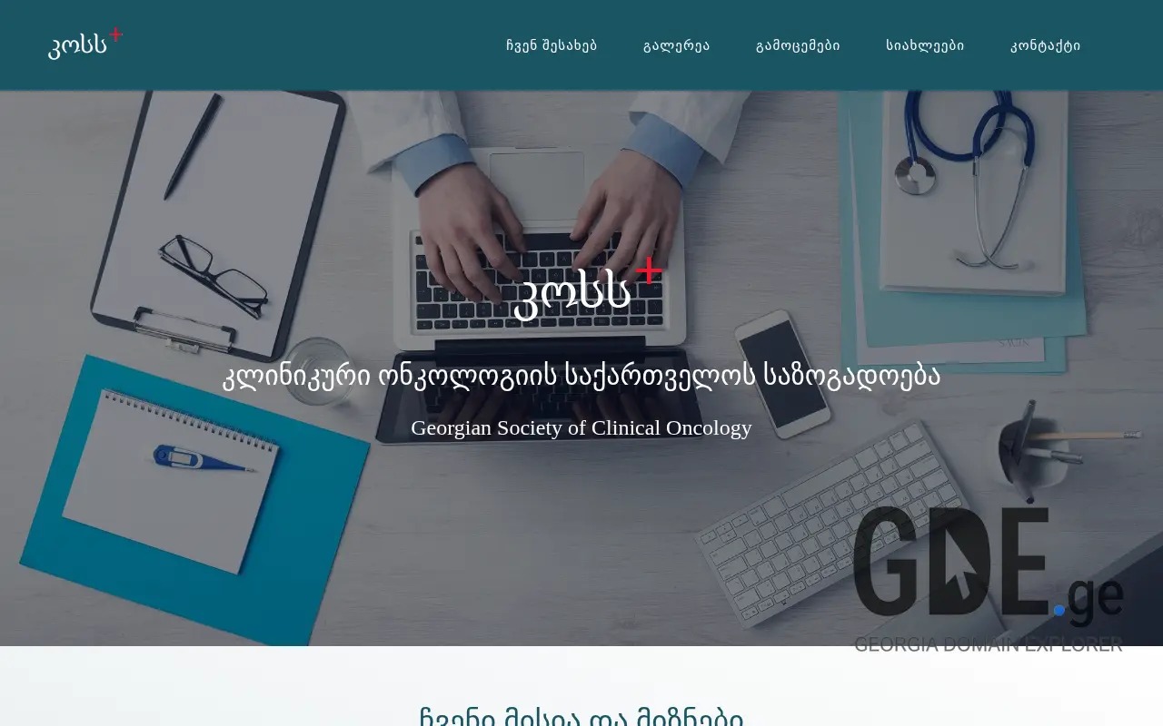 Screenshot of the site gsco.ge at 2025-11-28