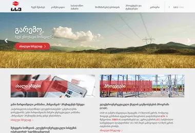 Screenshot of gse.com.ge