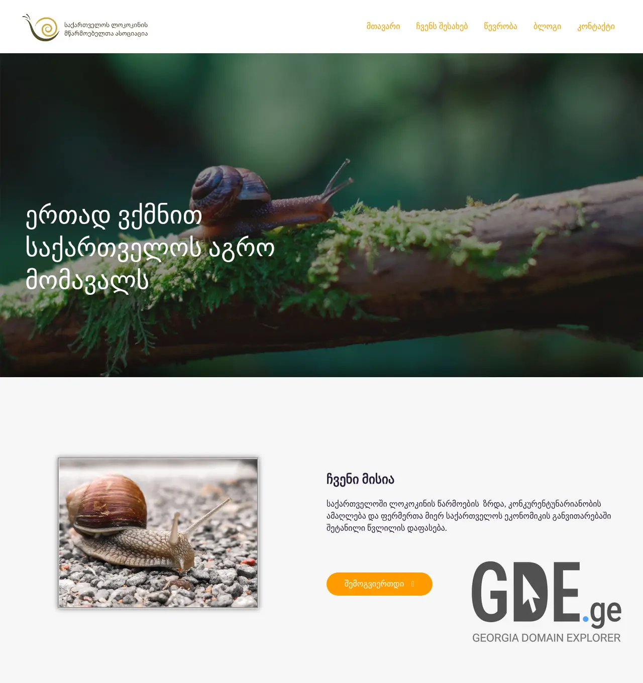 Screenshot of the site gsfa.org.ge at 2025-11-30