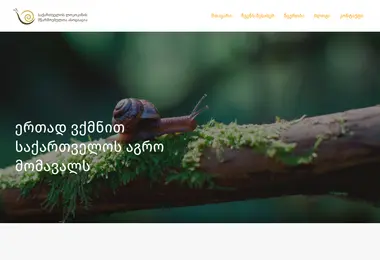 Скриншот gsfa.org.ge