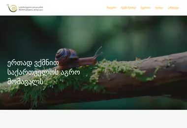 gsfa.org.ge-ის ეკრანის სურათი