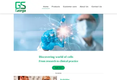 Screenshot of gsgeorgia.ge