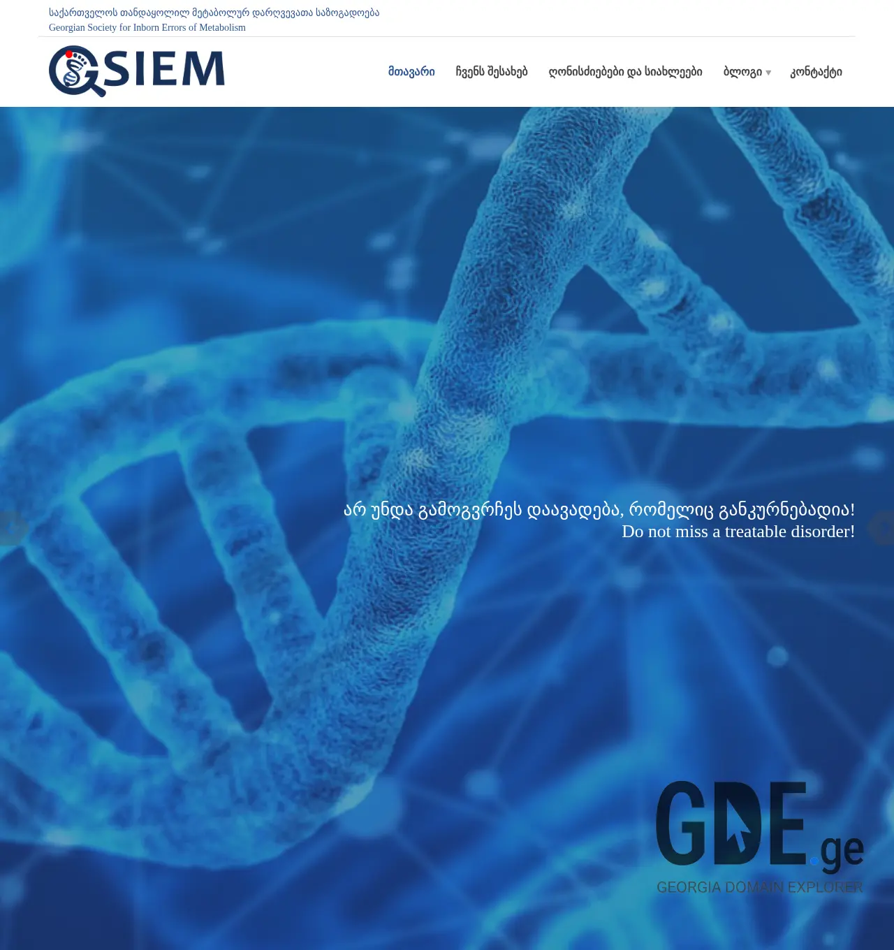 Screenshot of the site gsiem.ge at 2025-11-30