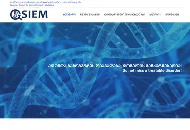 Screenshot of gsiem.ge