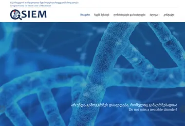Скриншот gsiem.ge