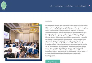 Screenshot of gsoam.ge
