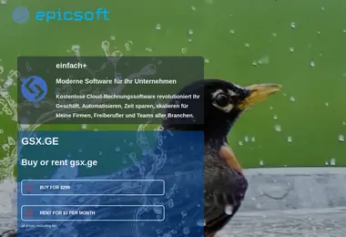 Screenshot of gsx.ge