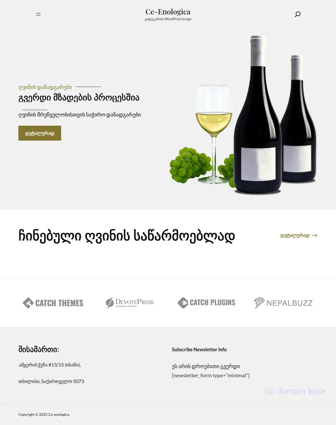 Screenshot of the site gtenologica.ge