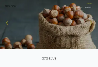 gtgplus.ge-ის ეკრანის სურათი