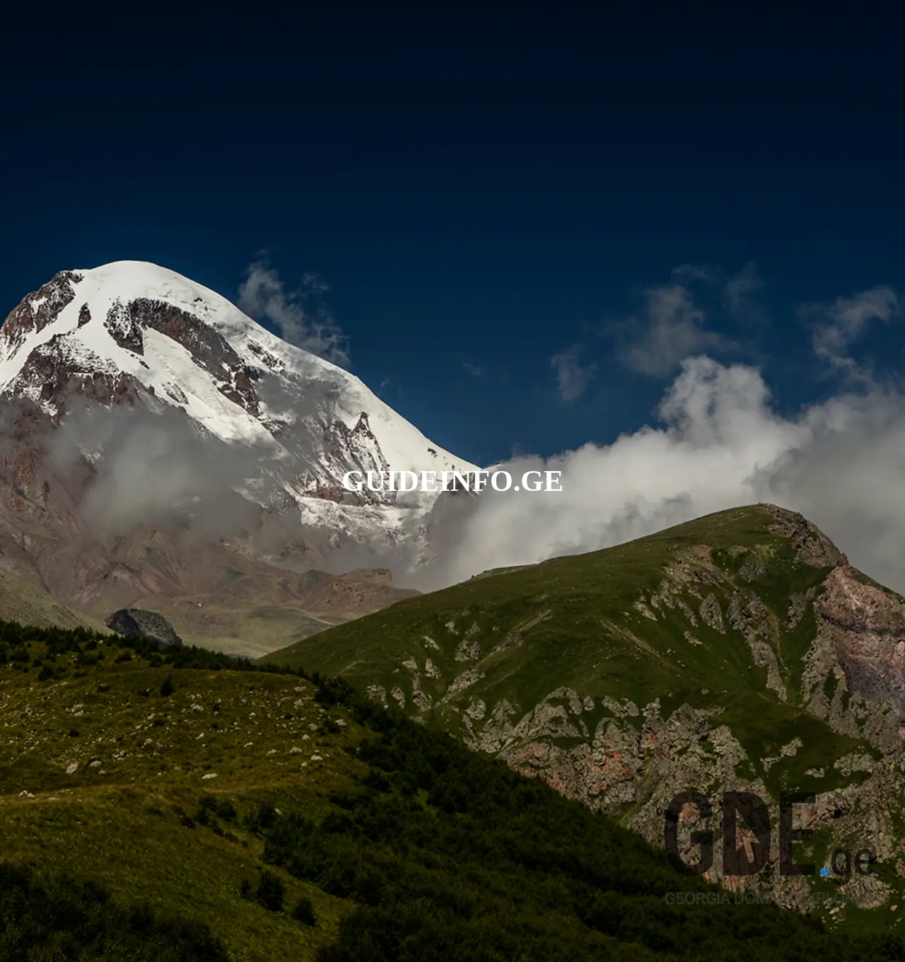 Screenshot of the site guideinfo.ge at 2025-11-29